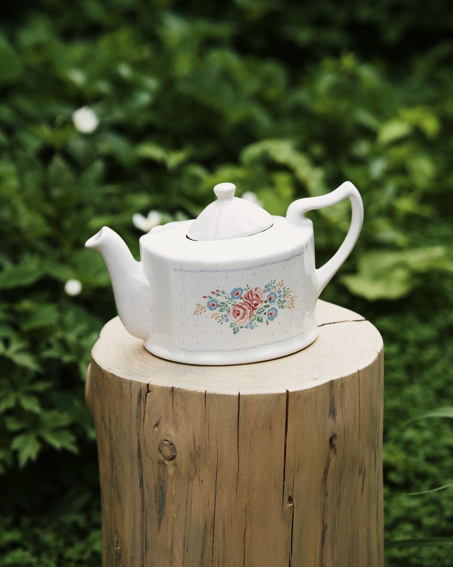 Occamy in Vintage Teapot