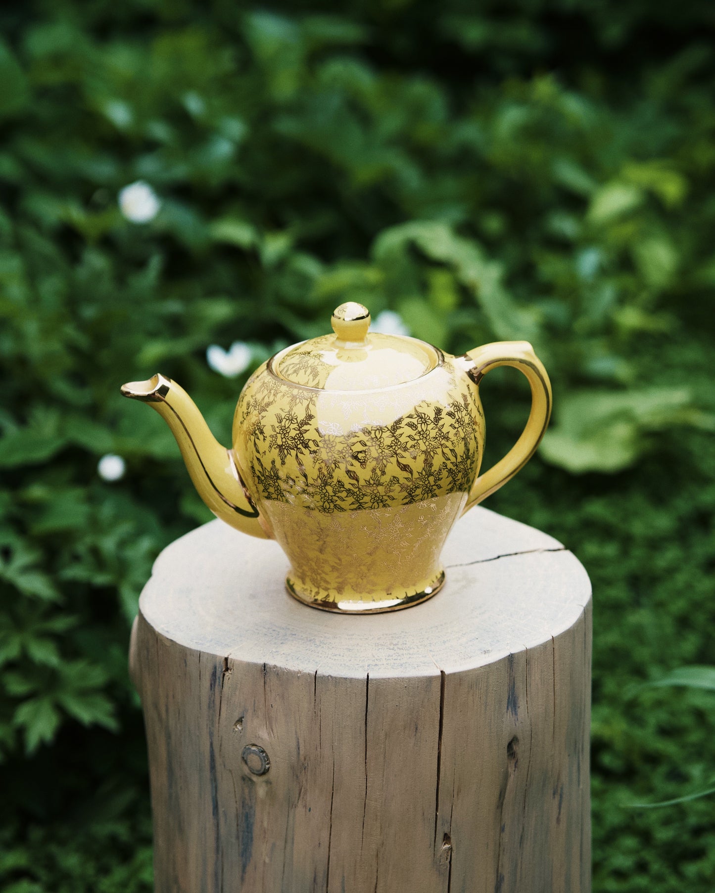 Occamy in Vintage Teapot