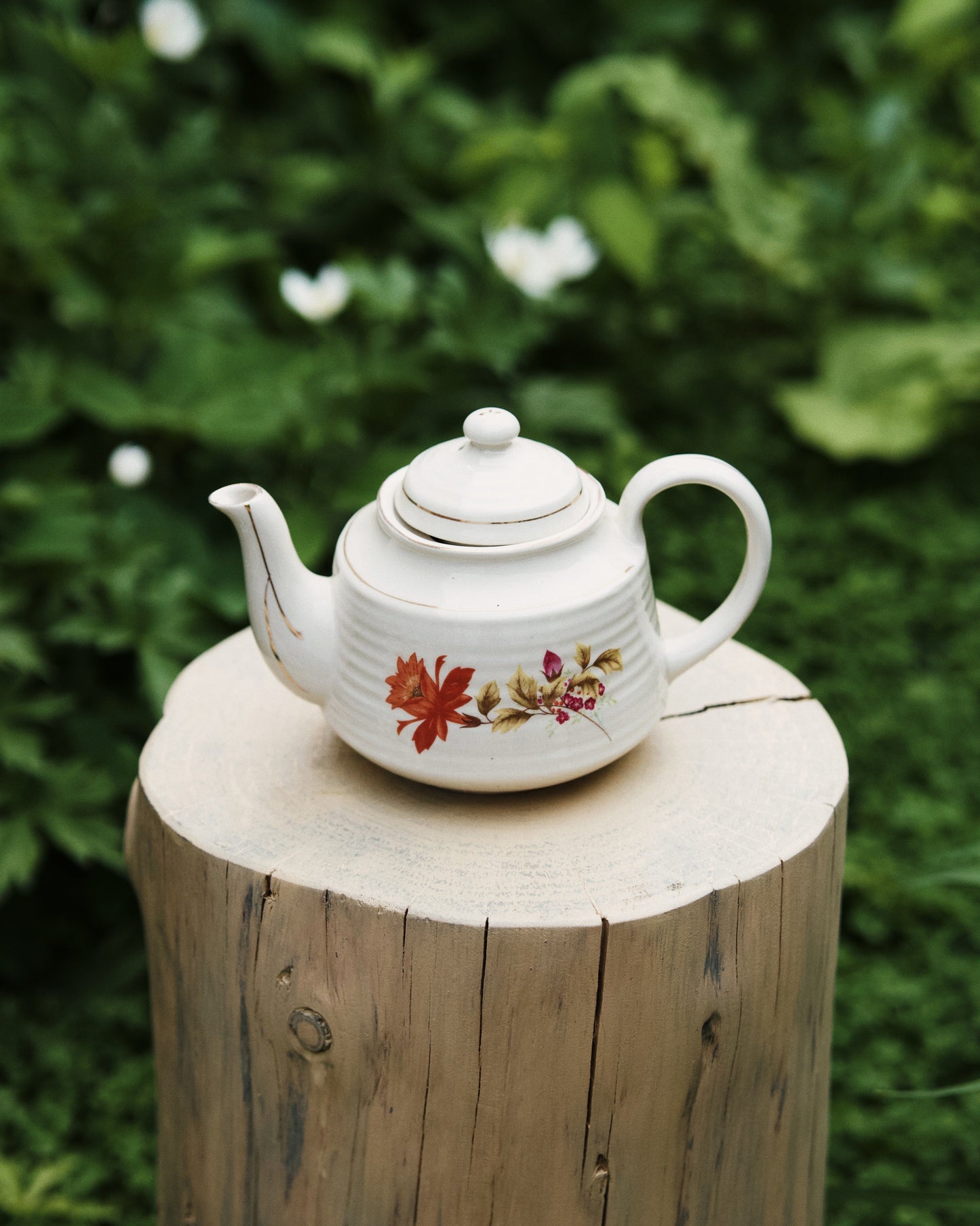 Occamy in Vintage Teapot