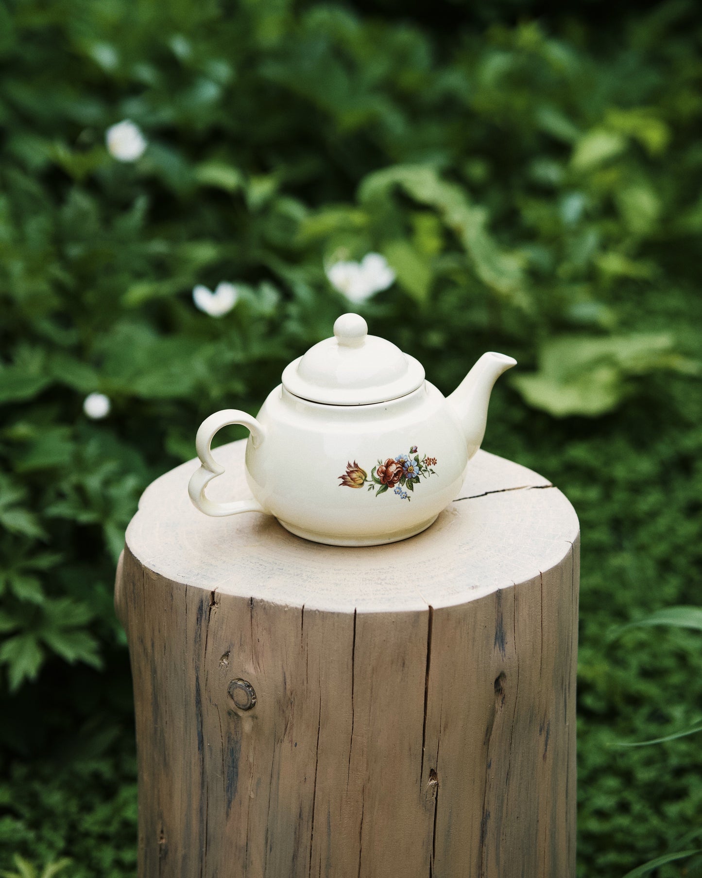 Occamy in Vintage Teapot