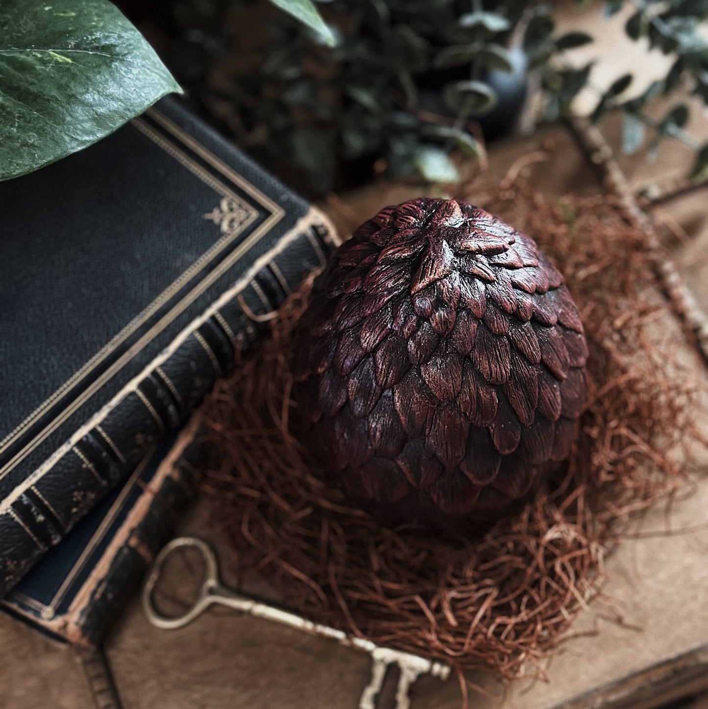 Dragon Egg