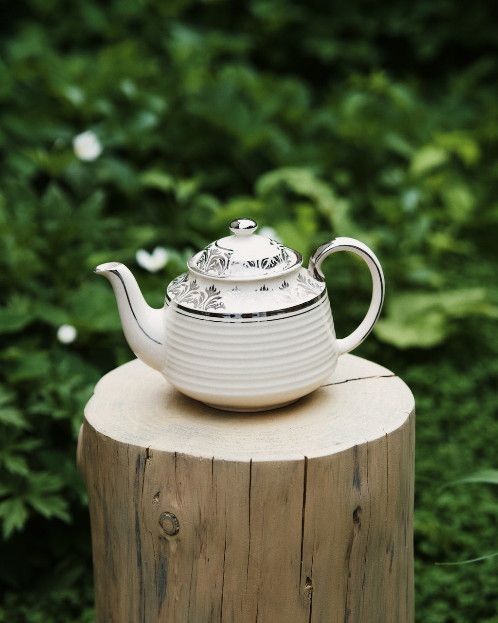 Occamy in Vintage Teapot
