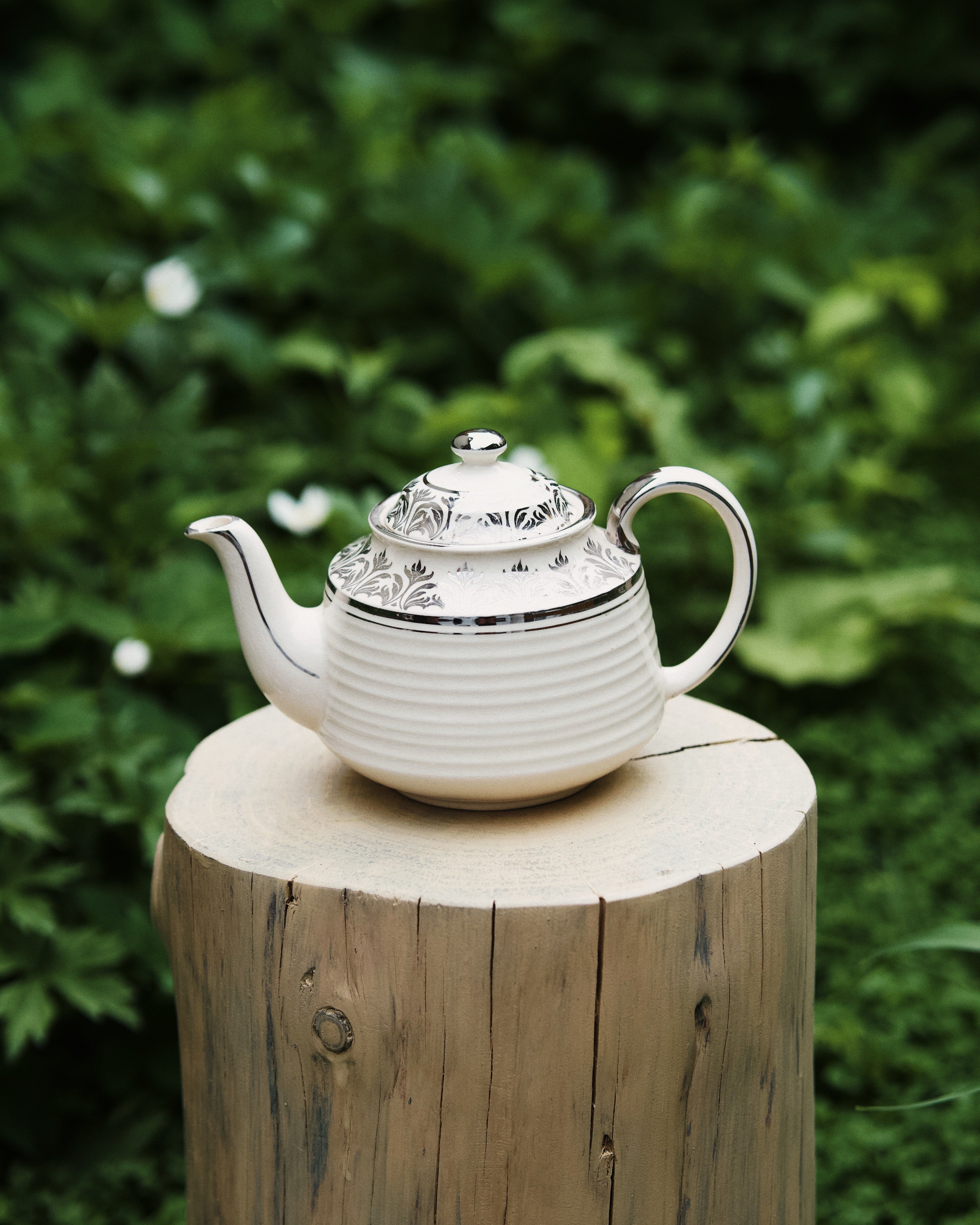 Occamy in Vintage Teapot
