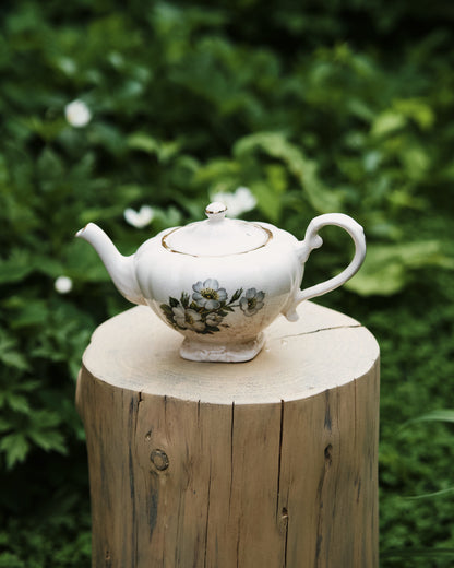 Occamy in Vintage Teapot