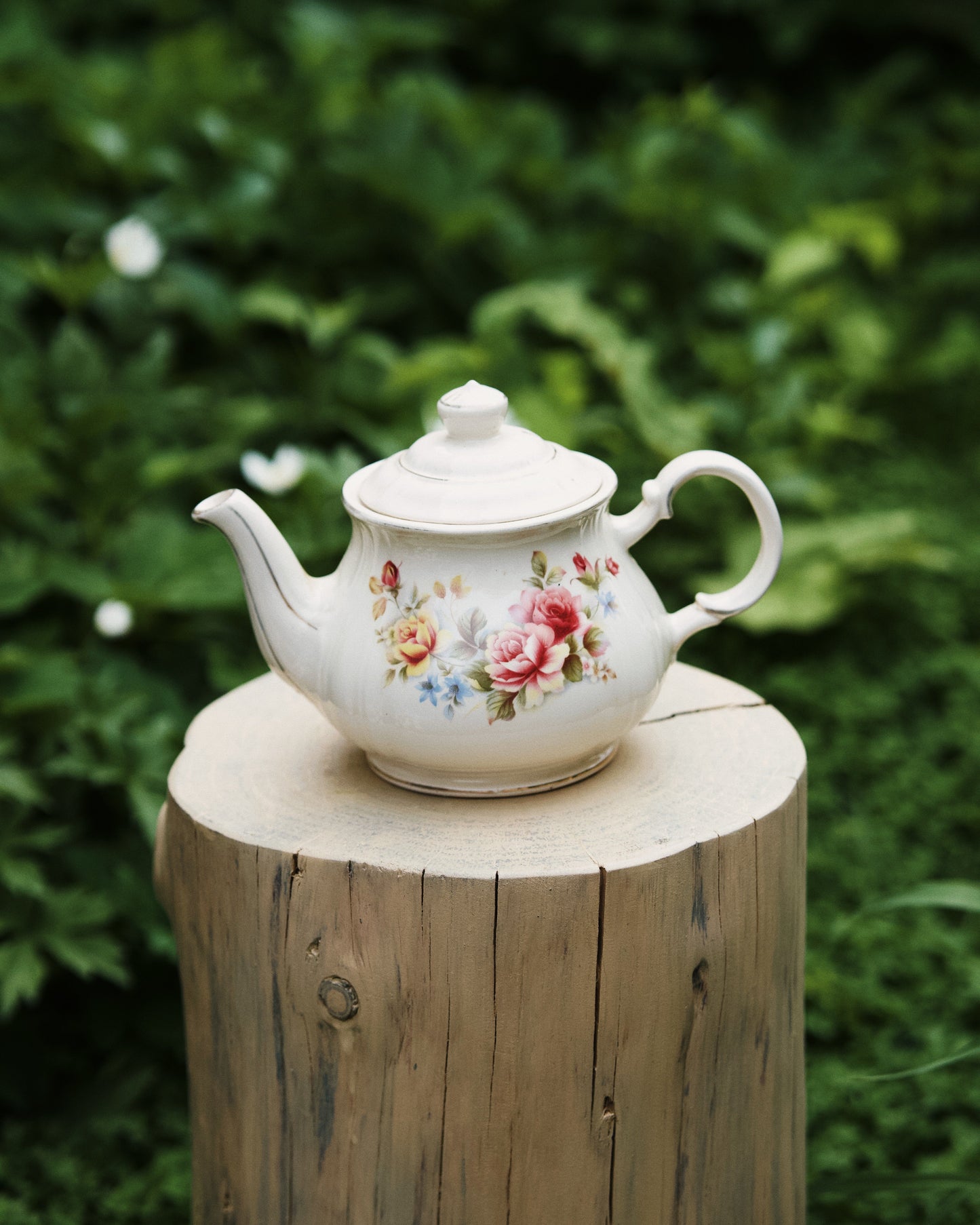 Occamy in Vintage Teapot