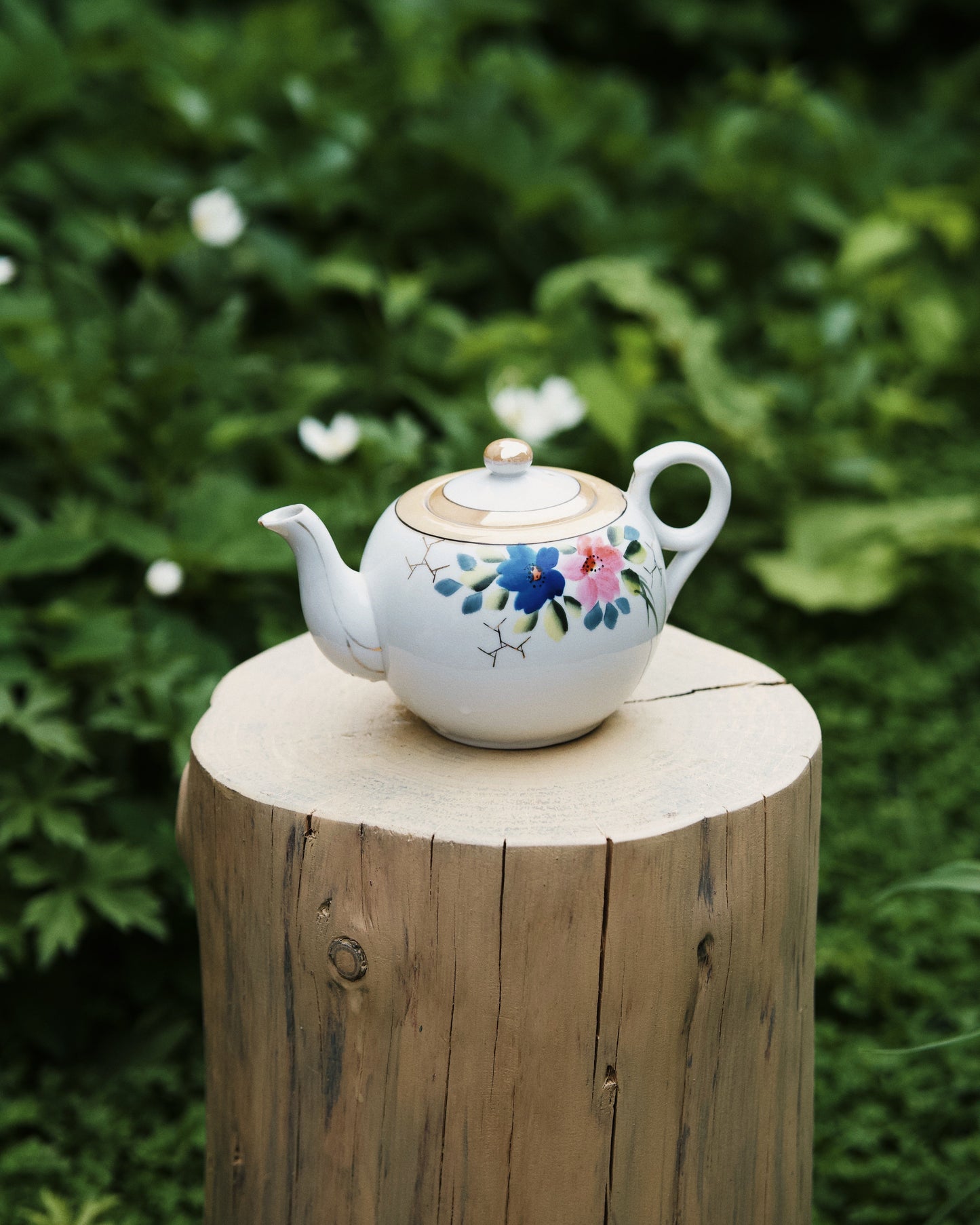 Occamy in Vintage Teapot