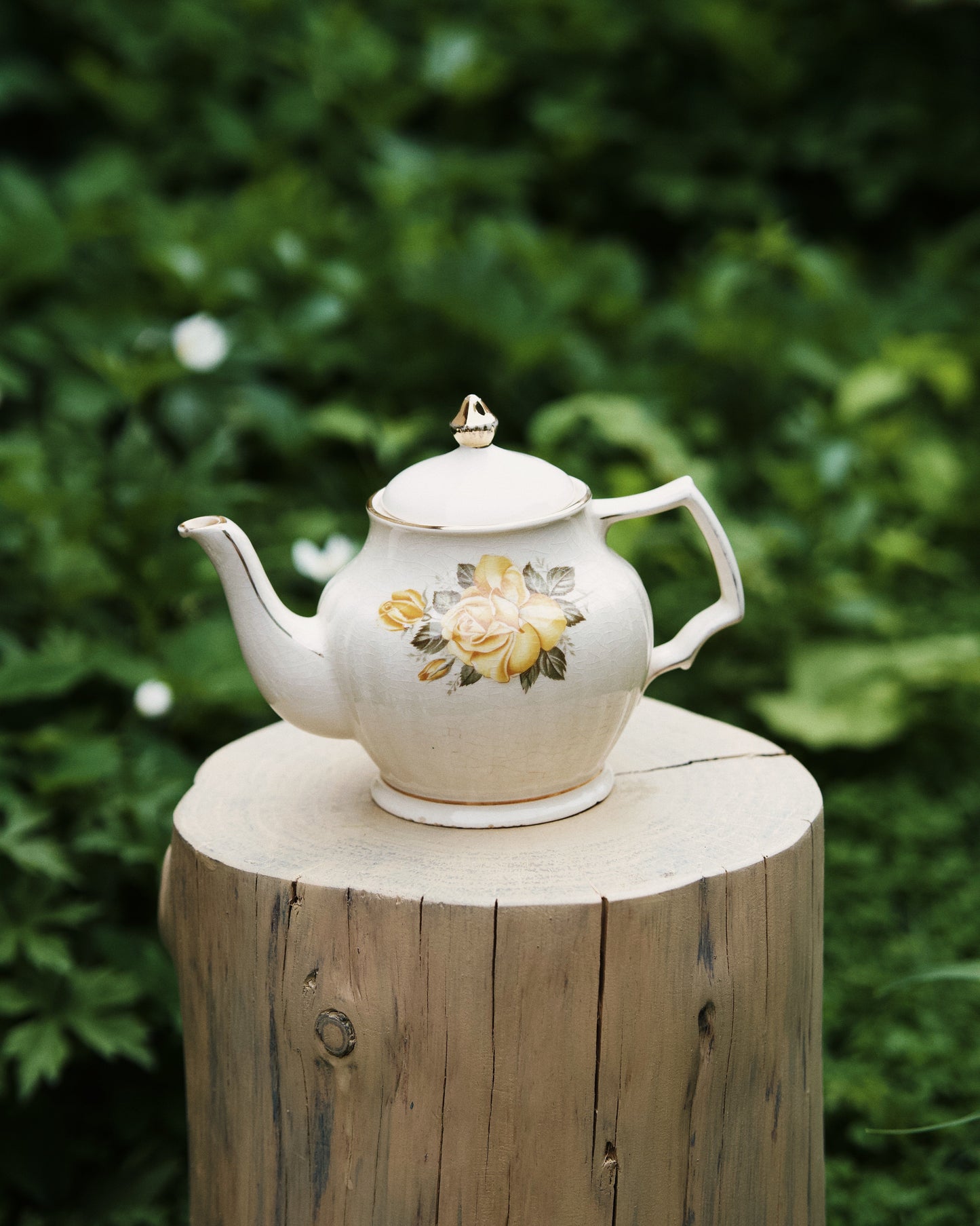 Occamy in Vintage Teapot