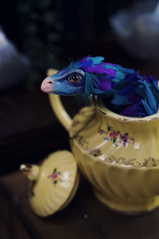 Occamy in Vintage Teapot
