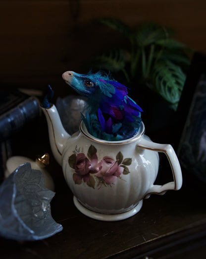 Occamy in Vintage Teapot