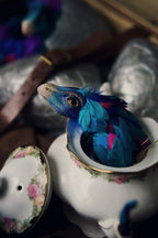 Occamy in Vintage Teapot