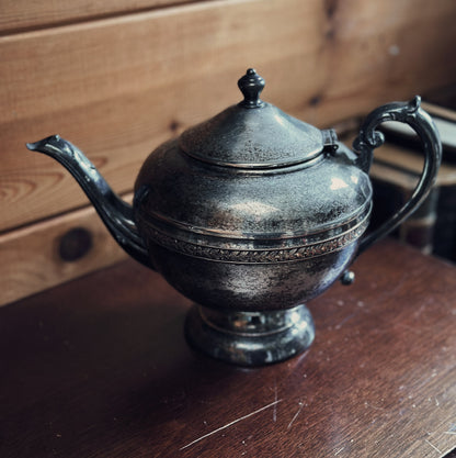 Occamy in Vintage Teapot