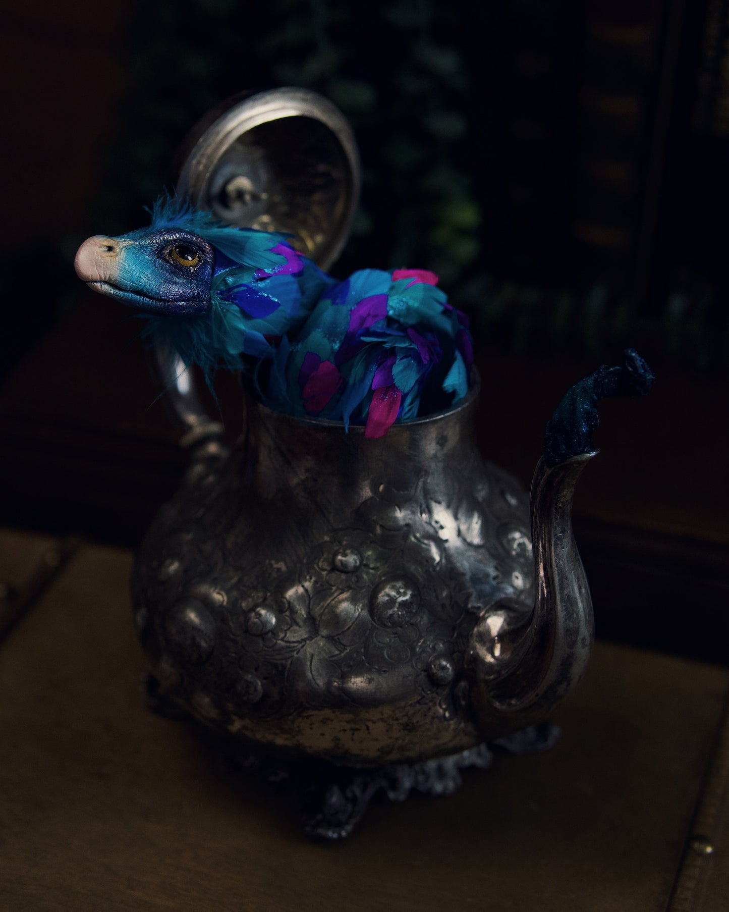 Occamy in Vintage Teapot