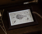 5x7 Dragon Print: Antipodean Opaleye