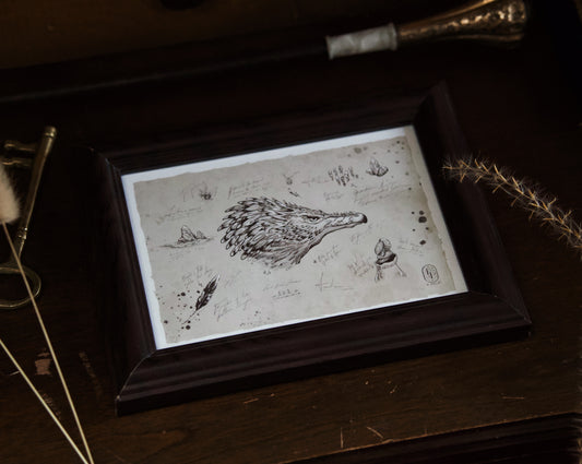 5x7 Dragon Print: Antipodean Opaleye