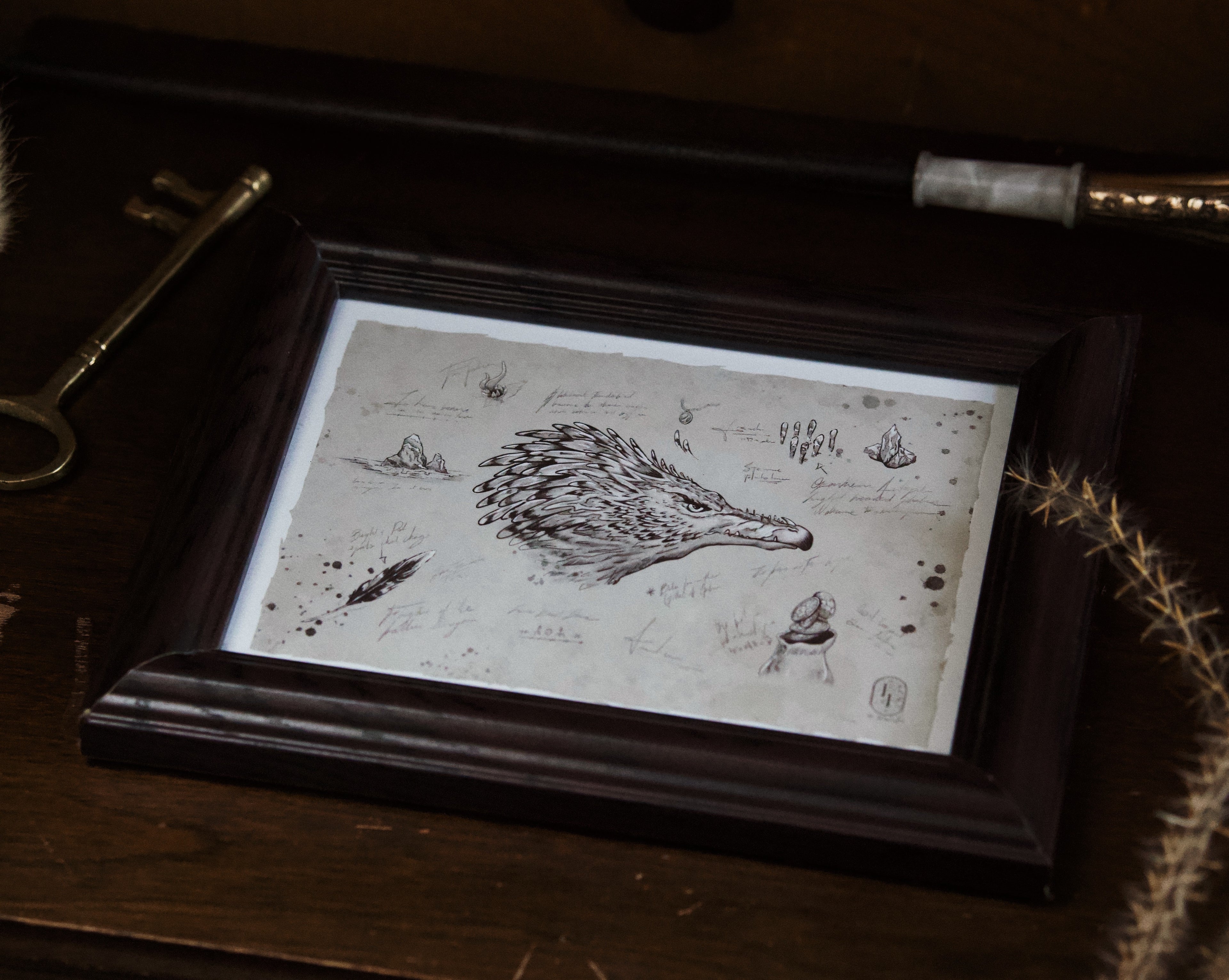 5x7 Dragon Print: Antipodean Opaleye