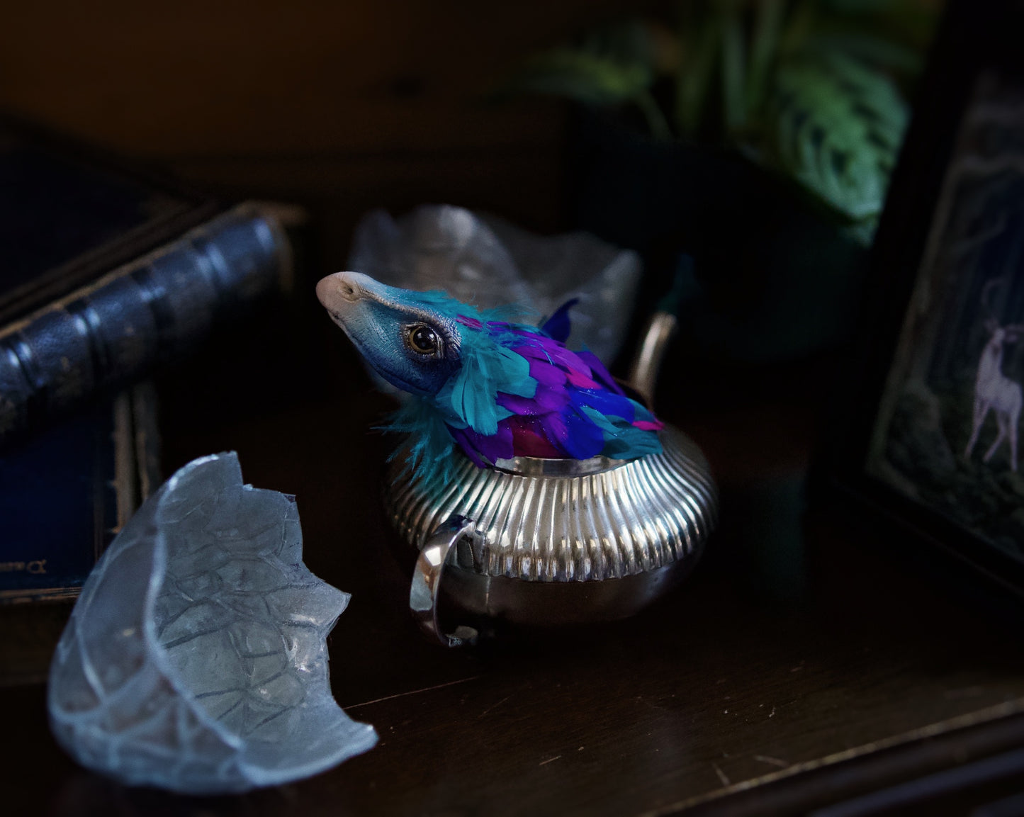 Occamy in Vintage Teapot