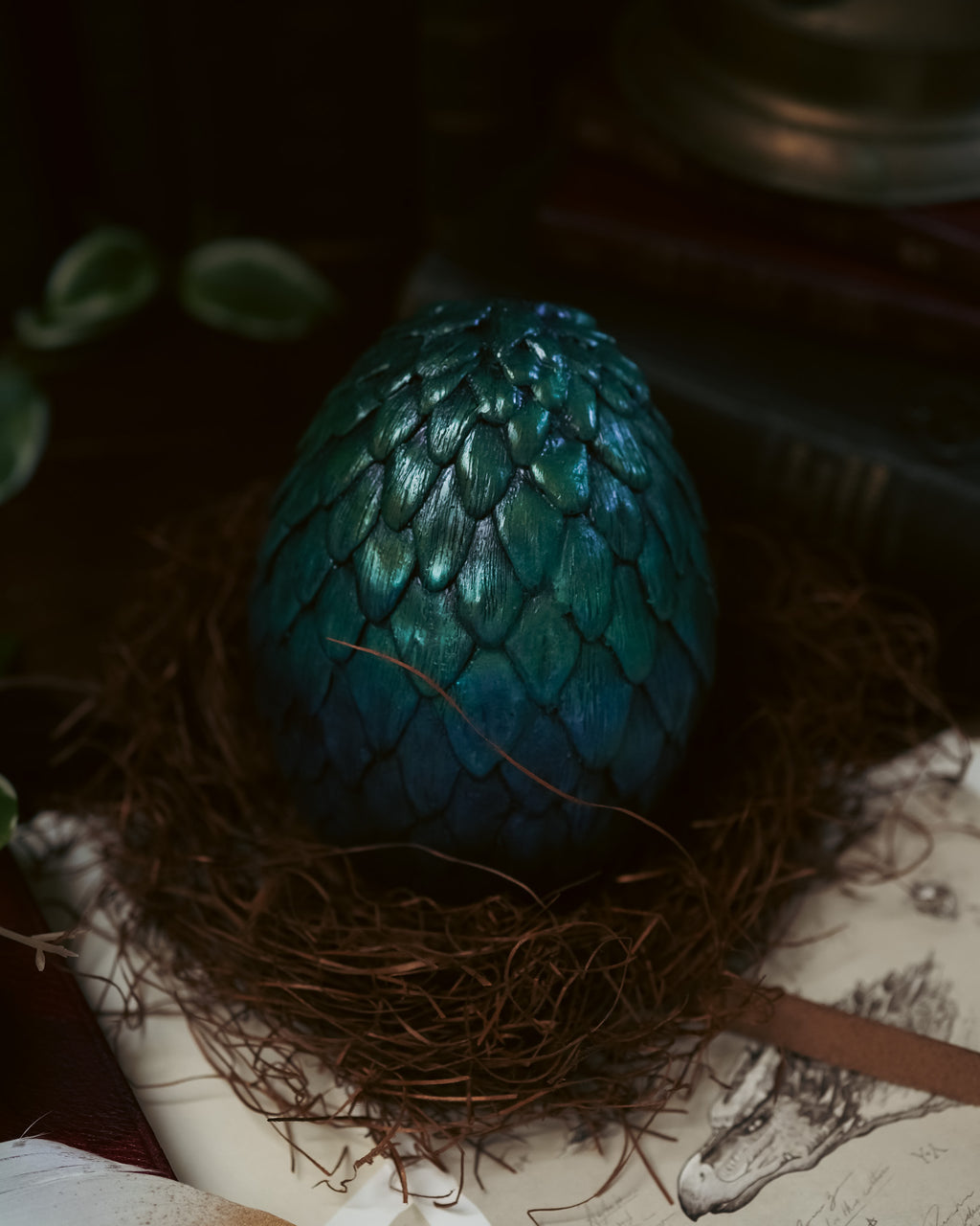 Dragon Egg
