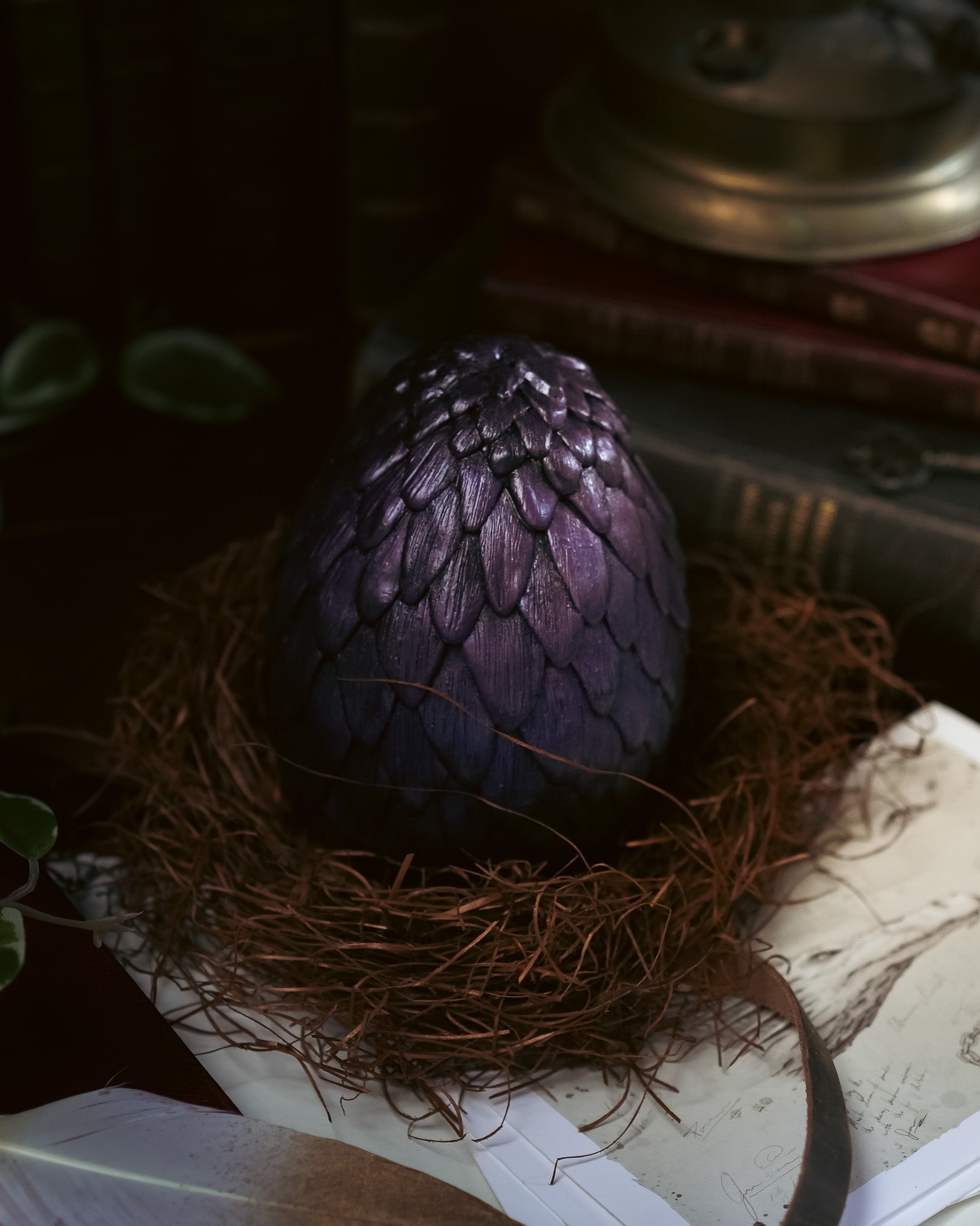 Dragon Egg