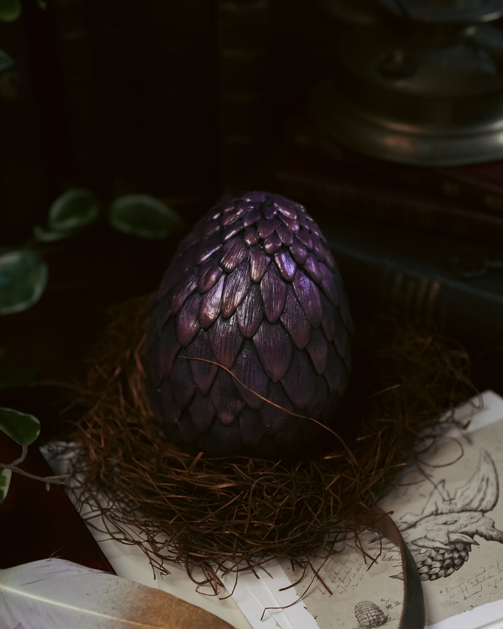 Dragon Egg