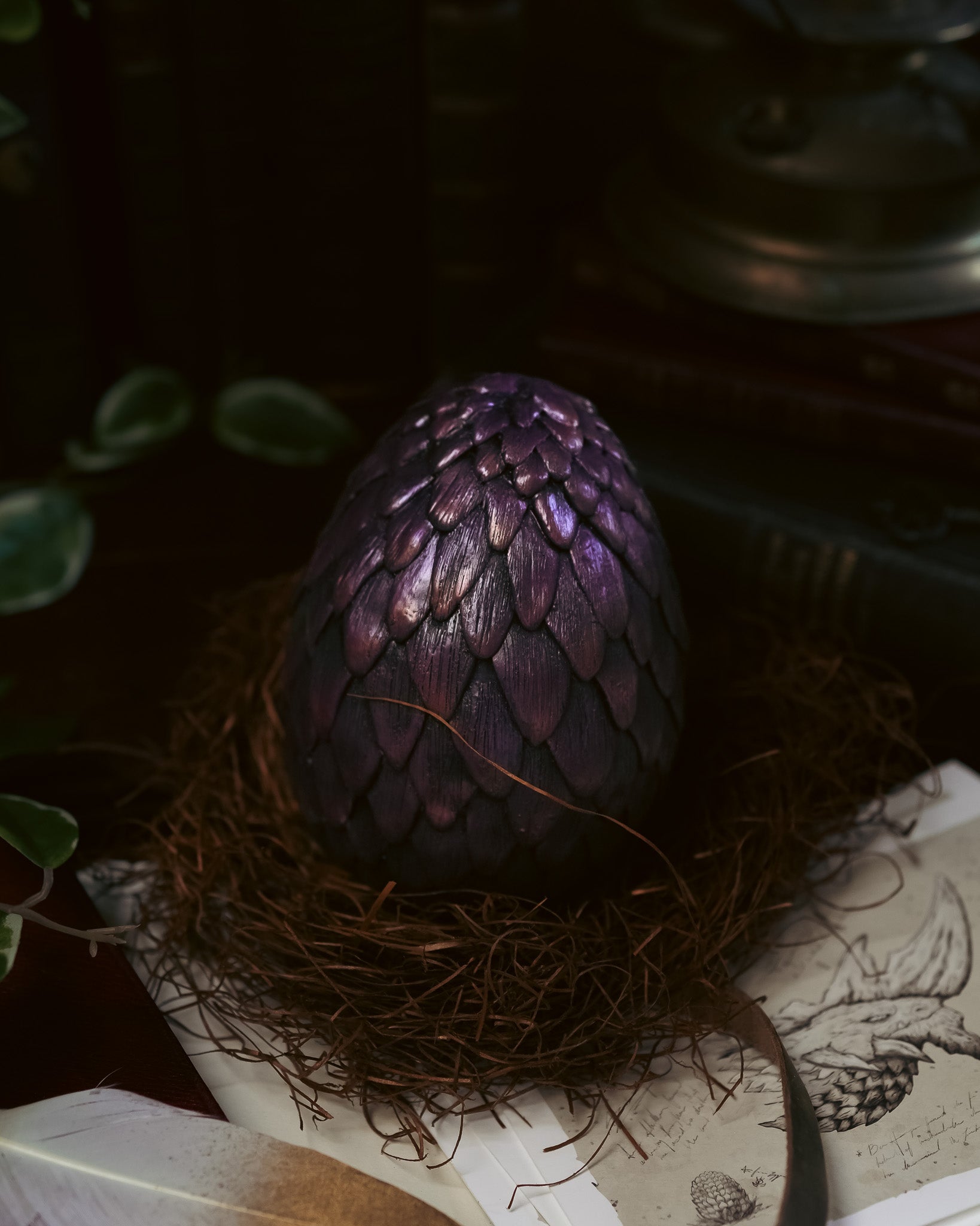 Dragon Egg