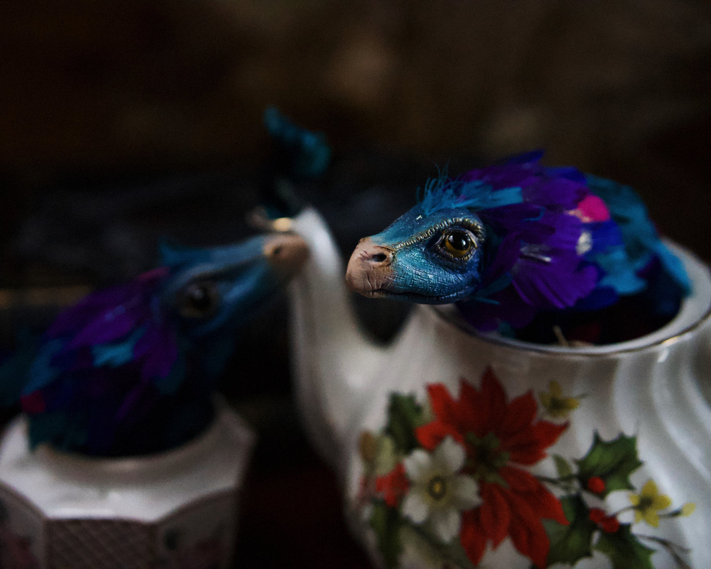 Occamy in Vintage Teapot