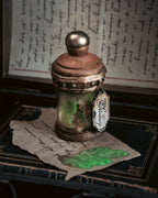 Pocket Potion #015: Lacewing Flies