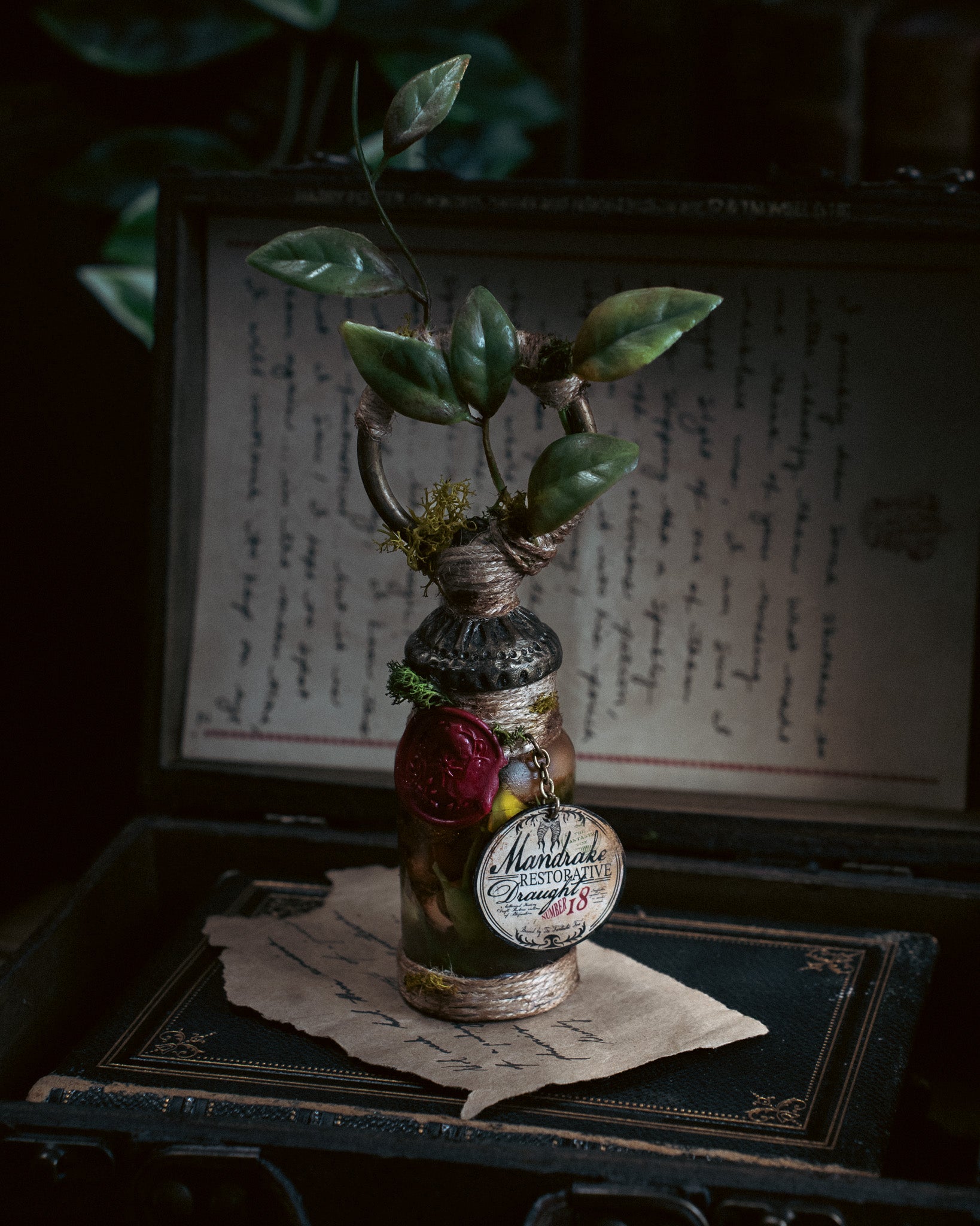 Pocket Potion #032: Mandrake Restorative Draught