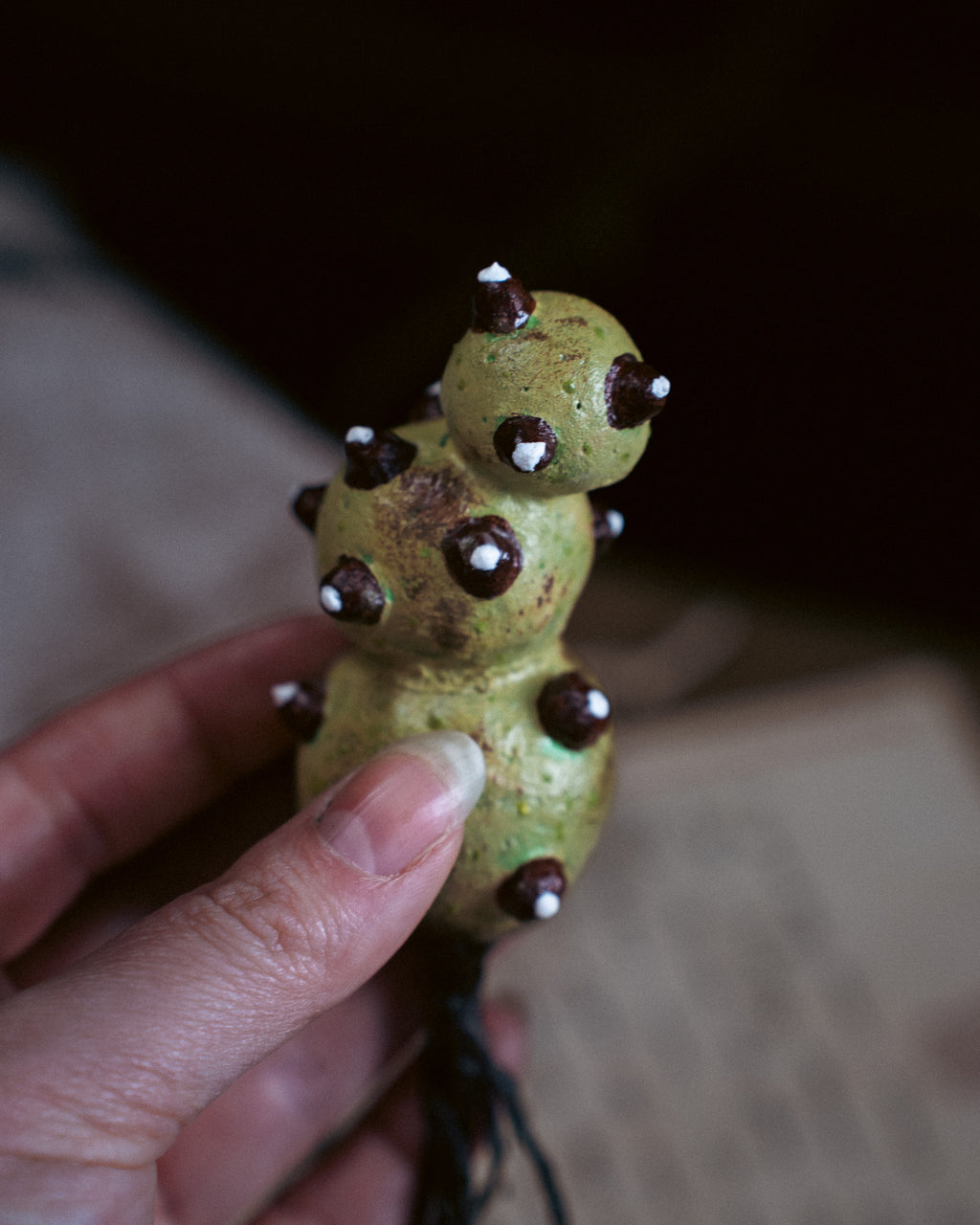 Specimen: Magical Cacti Root