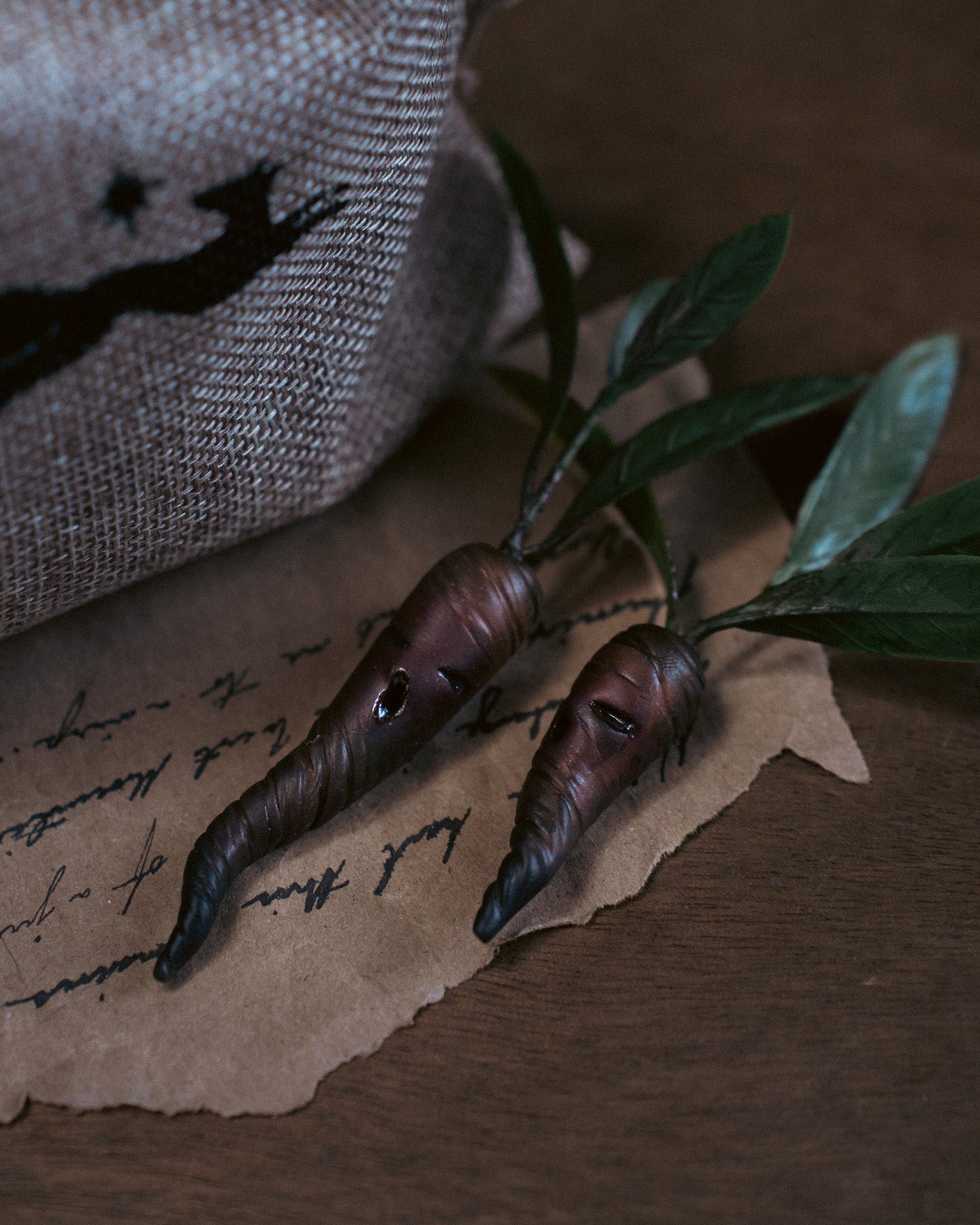 Specimen: Mandrake Root