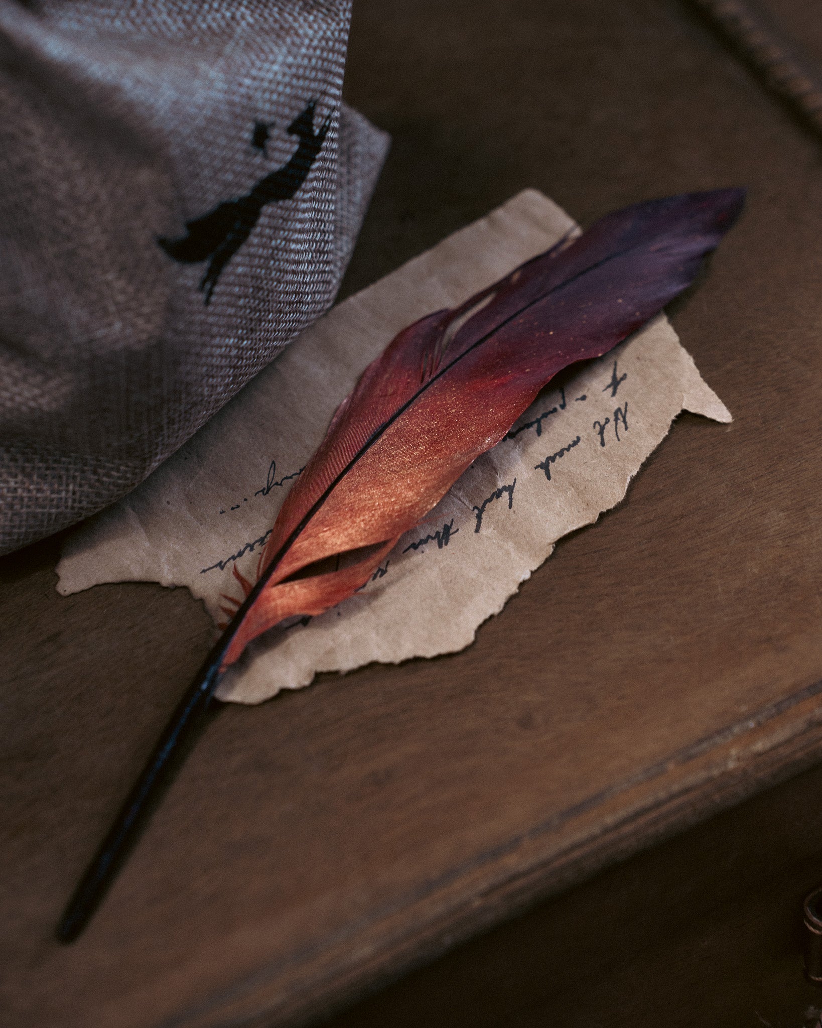 Specimen: Phoenix Feather