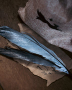 Specimen: Hippogriff Feather