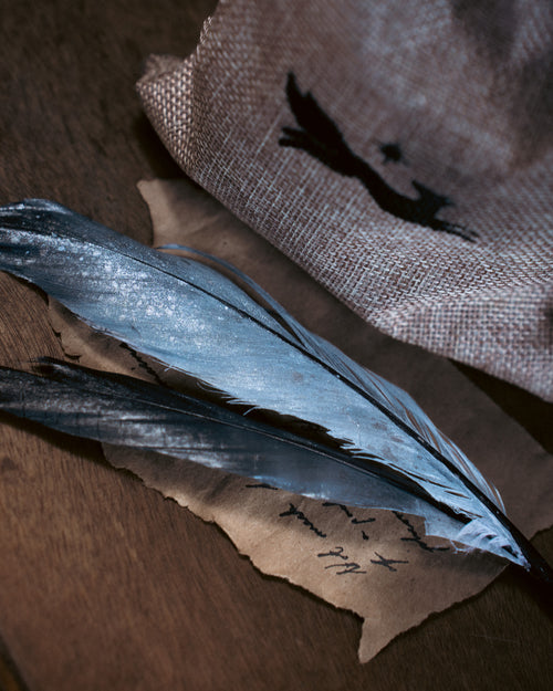 Specimen: Hippogriff Feather