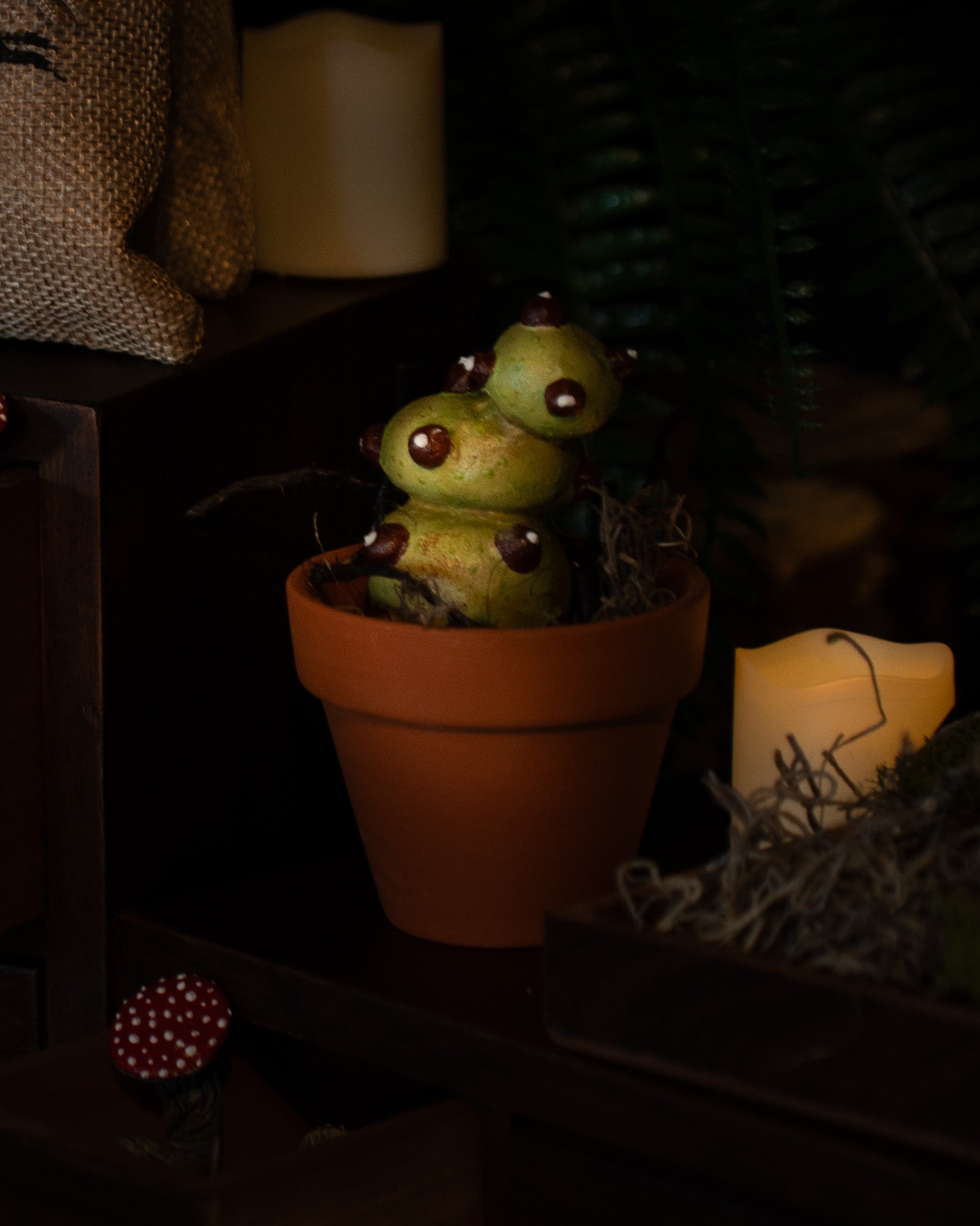 Specimen: Magical Cacti Root