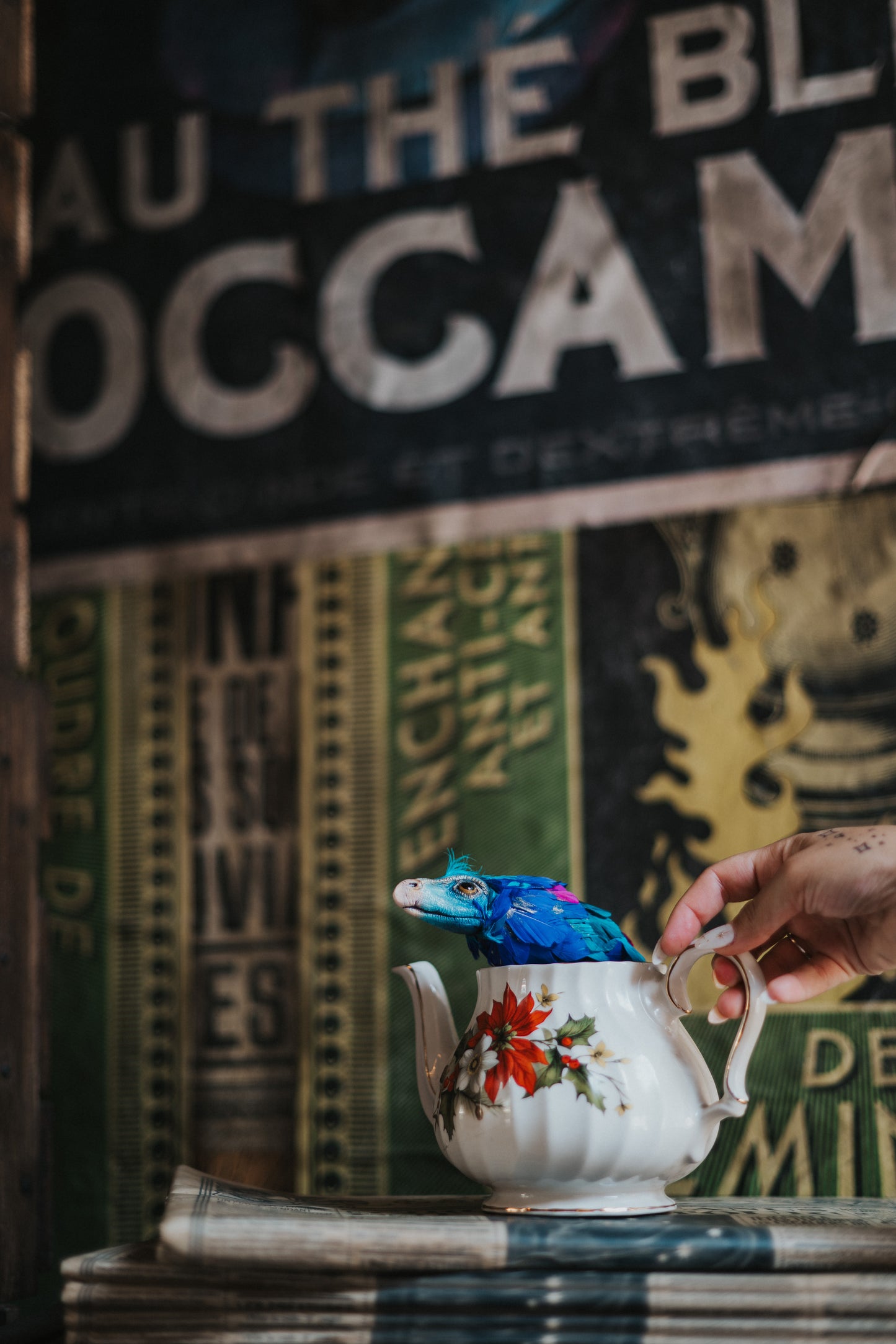 Occamy in Vintage Teapot