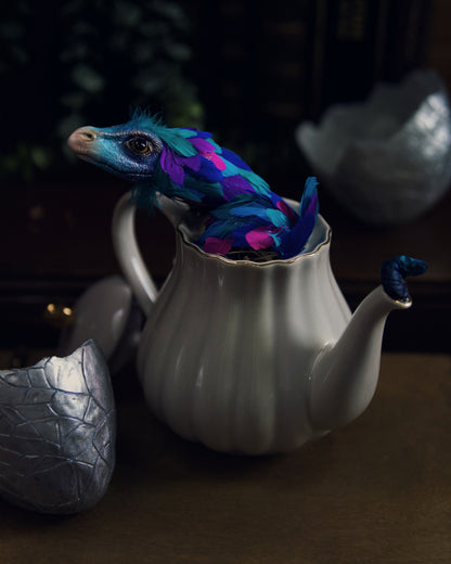 Occamy in Vintage Teapot