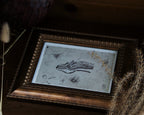 5x7 Dragon Print: Hungarian Horntail