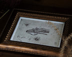 5x7 Dragon Print: Hungarian Horntail