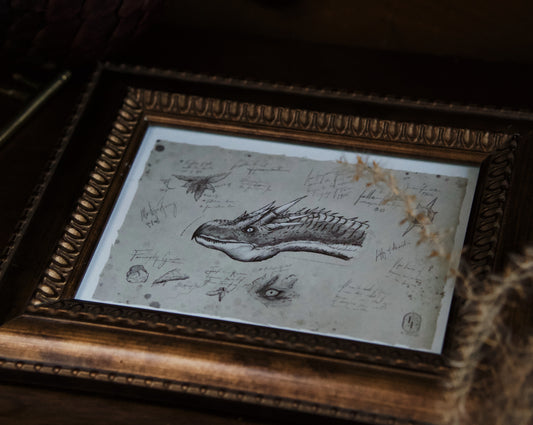 5x7 Dragon Print: Hungarian Horntail