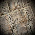Magical Commodities Newspaper Fall / Winter Issue No. 1