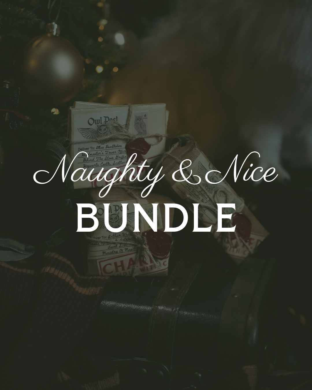 Owl Post Ornament Bundle: Naughty & Nice