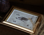 5x7 Dragon Print: Norwegian Ridgeback