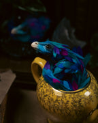 Occamy in Vintage Teapot