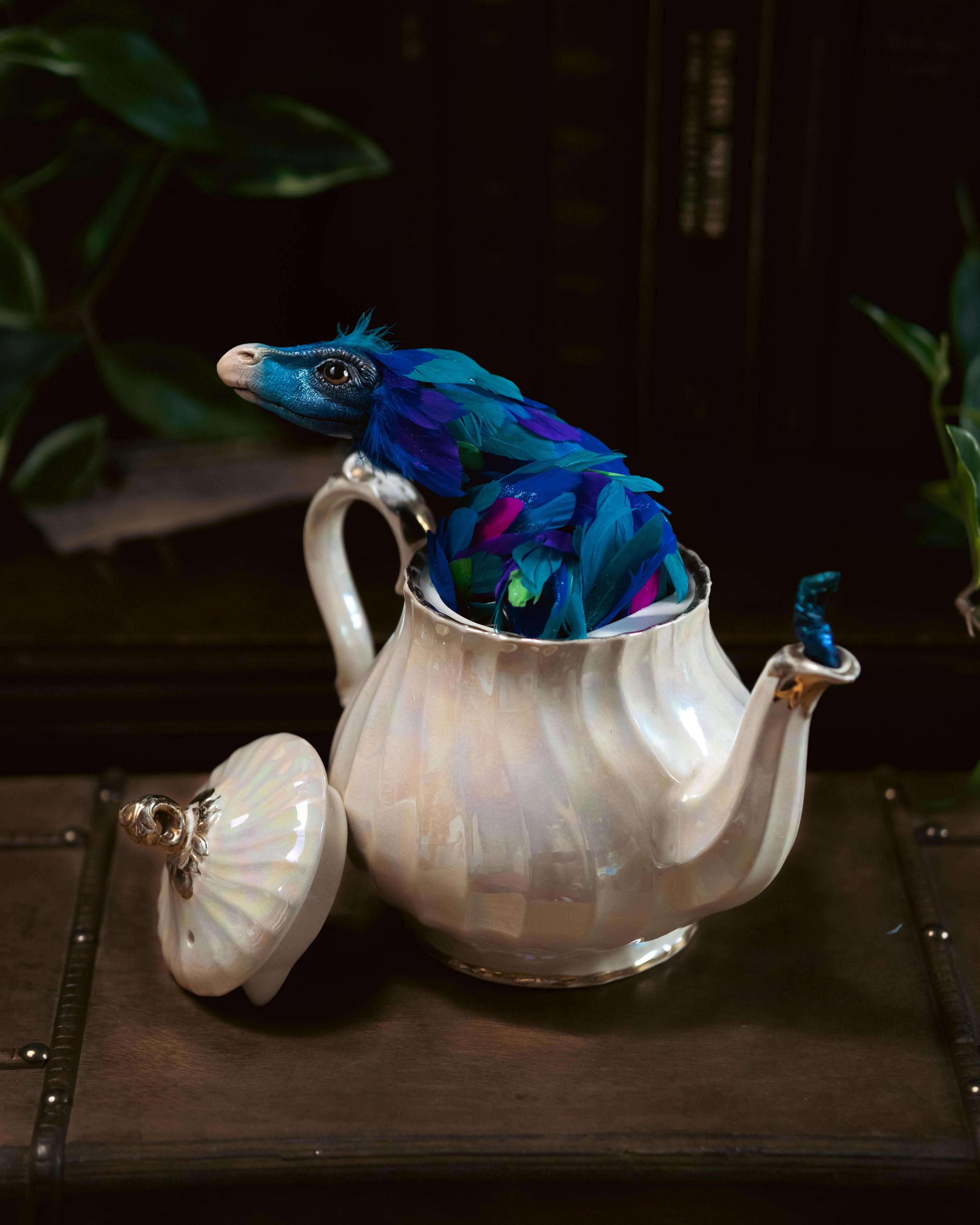 Occamy in Vintage Teapot