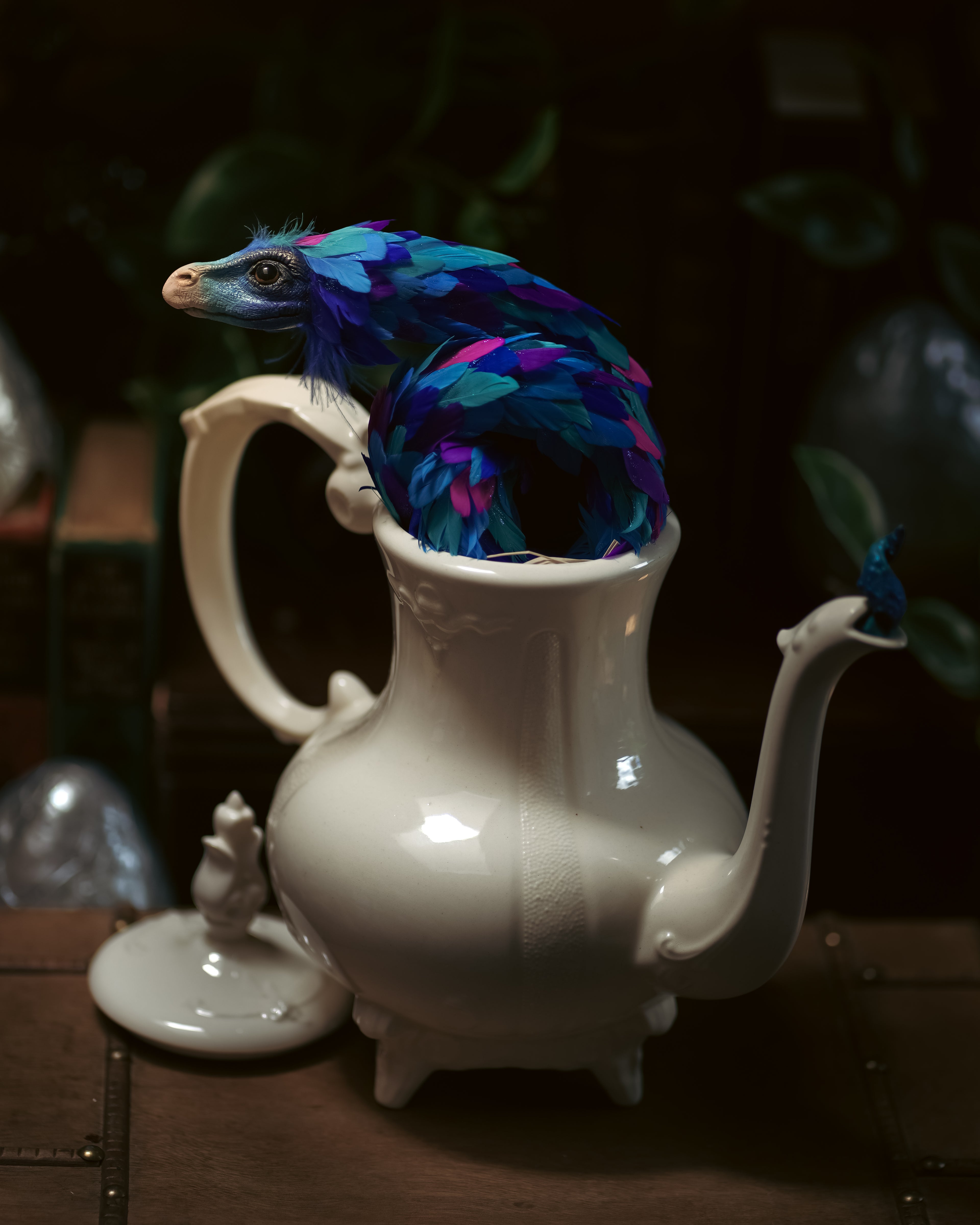Occamy in Vintage Teapot