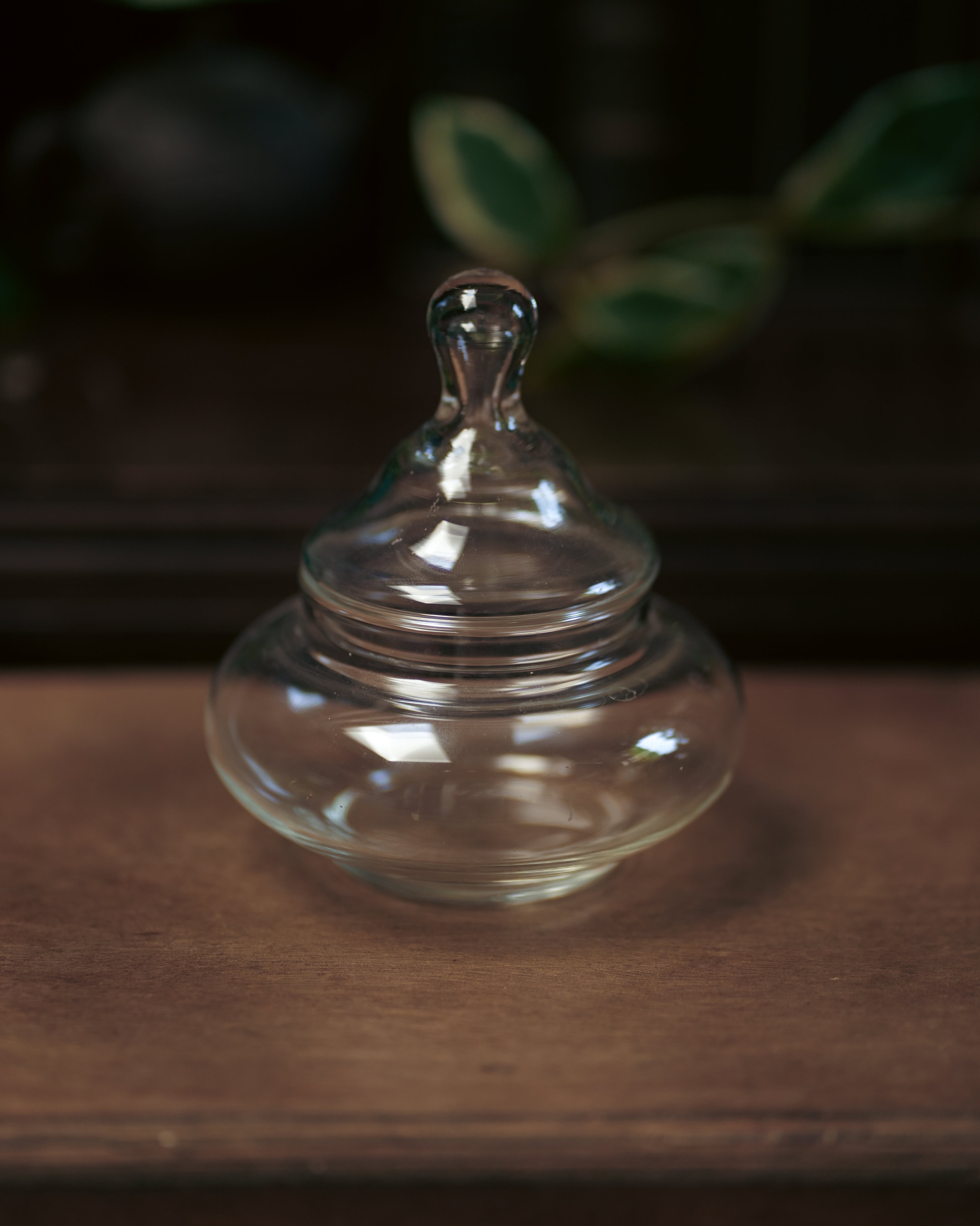 Bottle #022: Leaping Toadstools