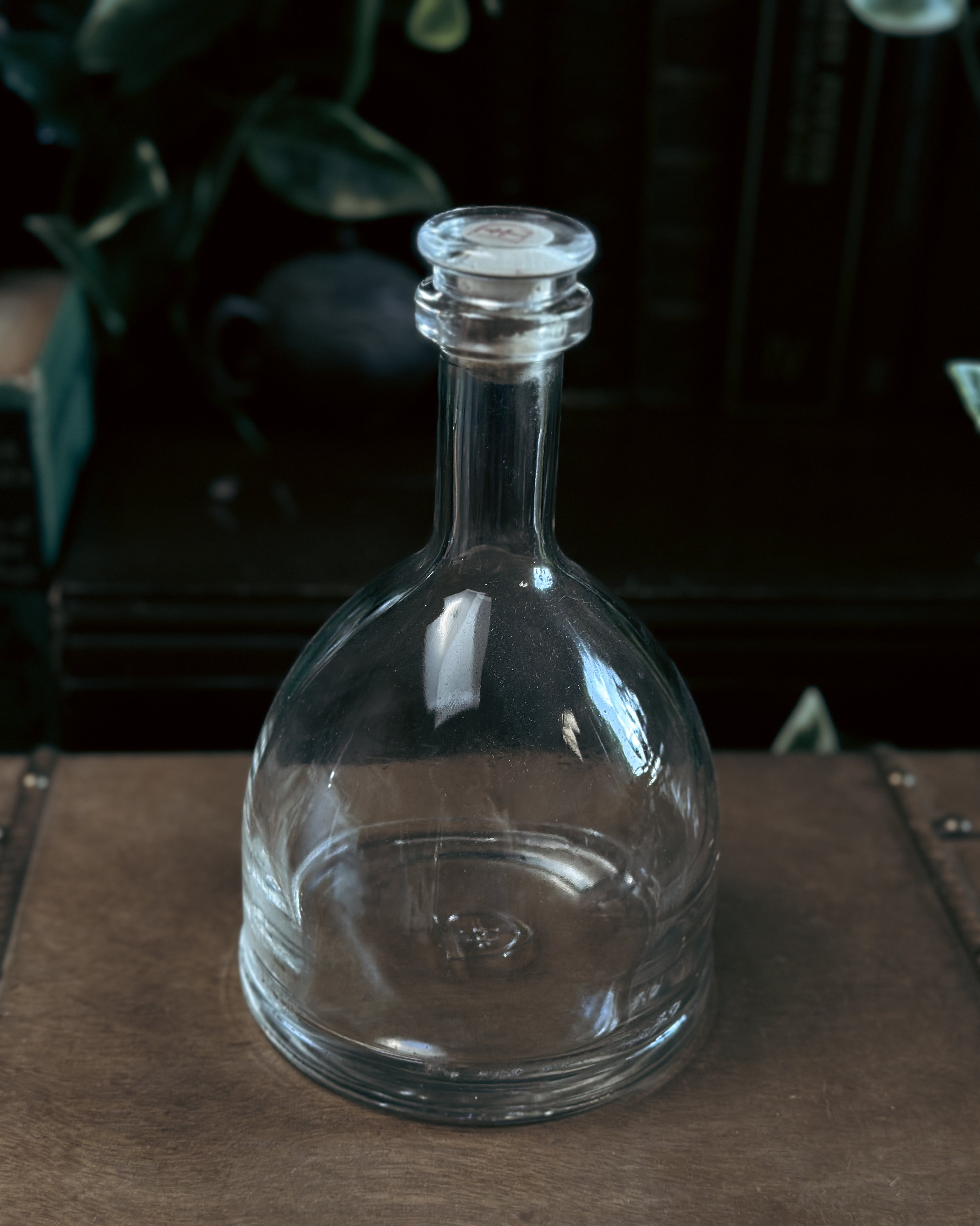 Bottle #009: Mandrake Restorative Draught
