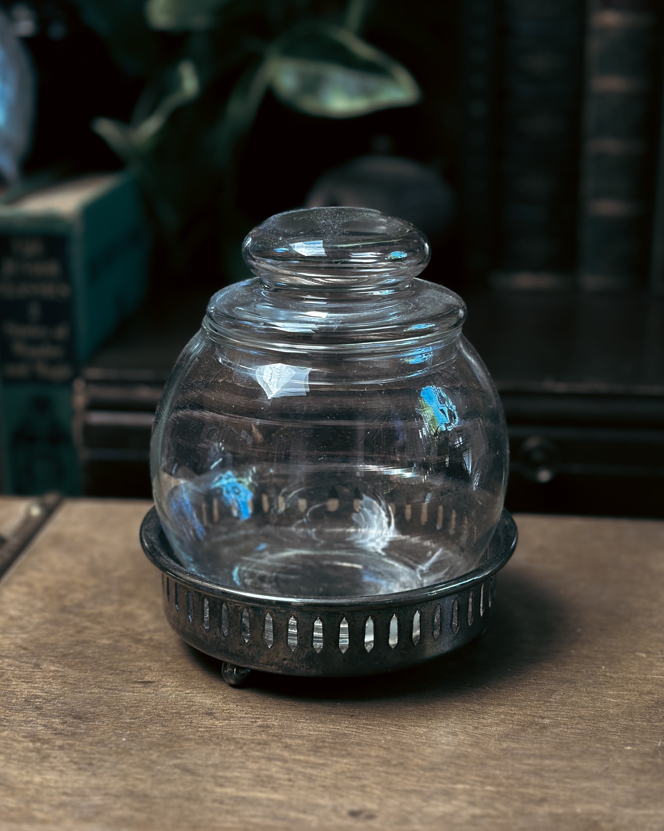 Bottle #011: Mandrake Root