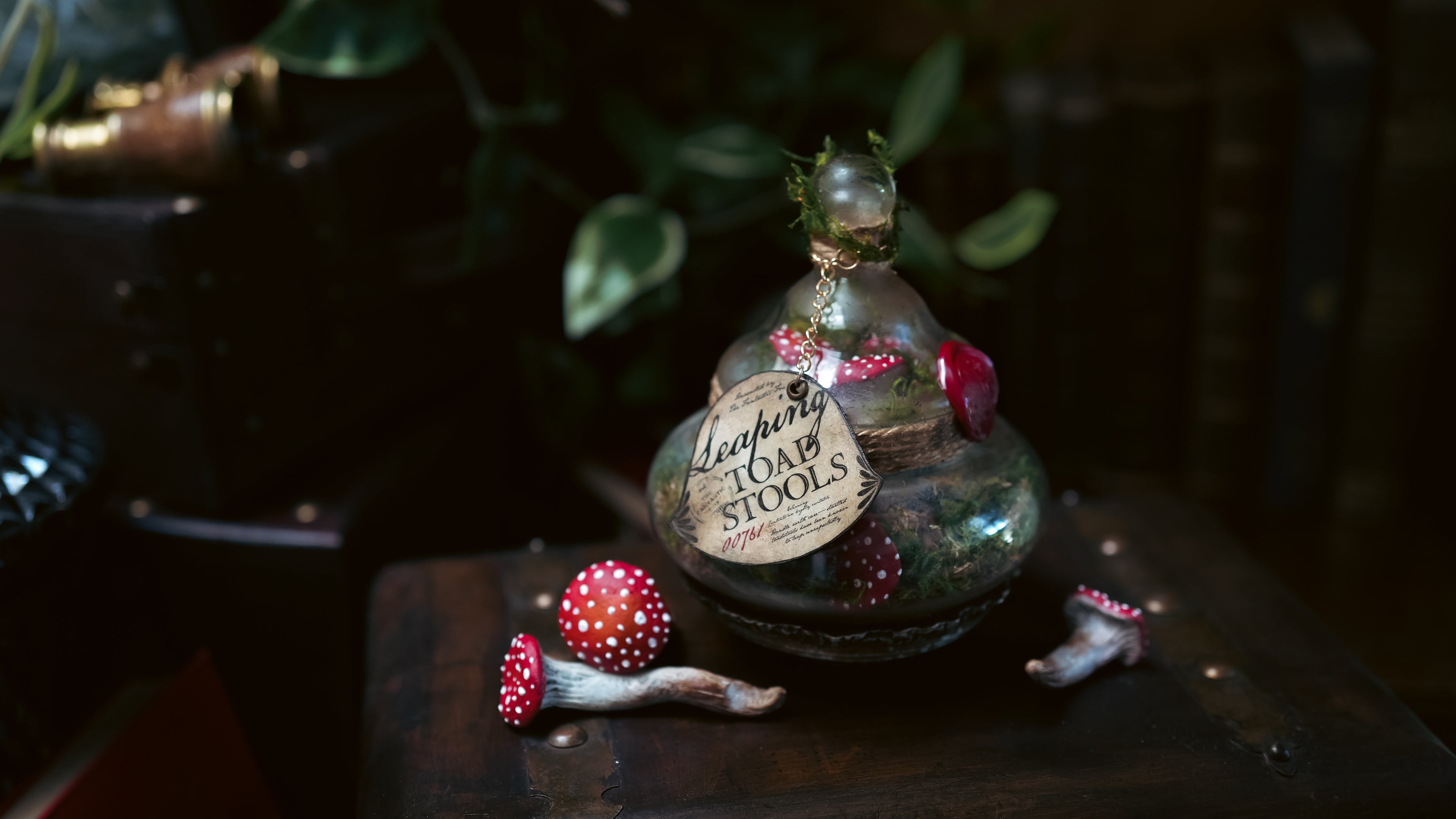 Bottle #022: Leaping Toadstools