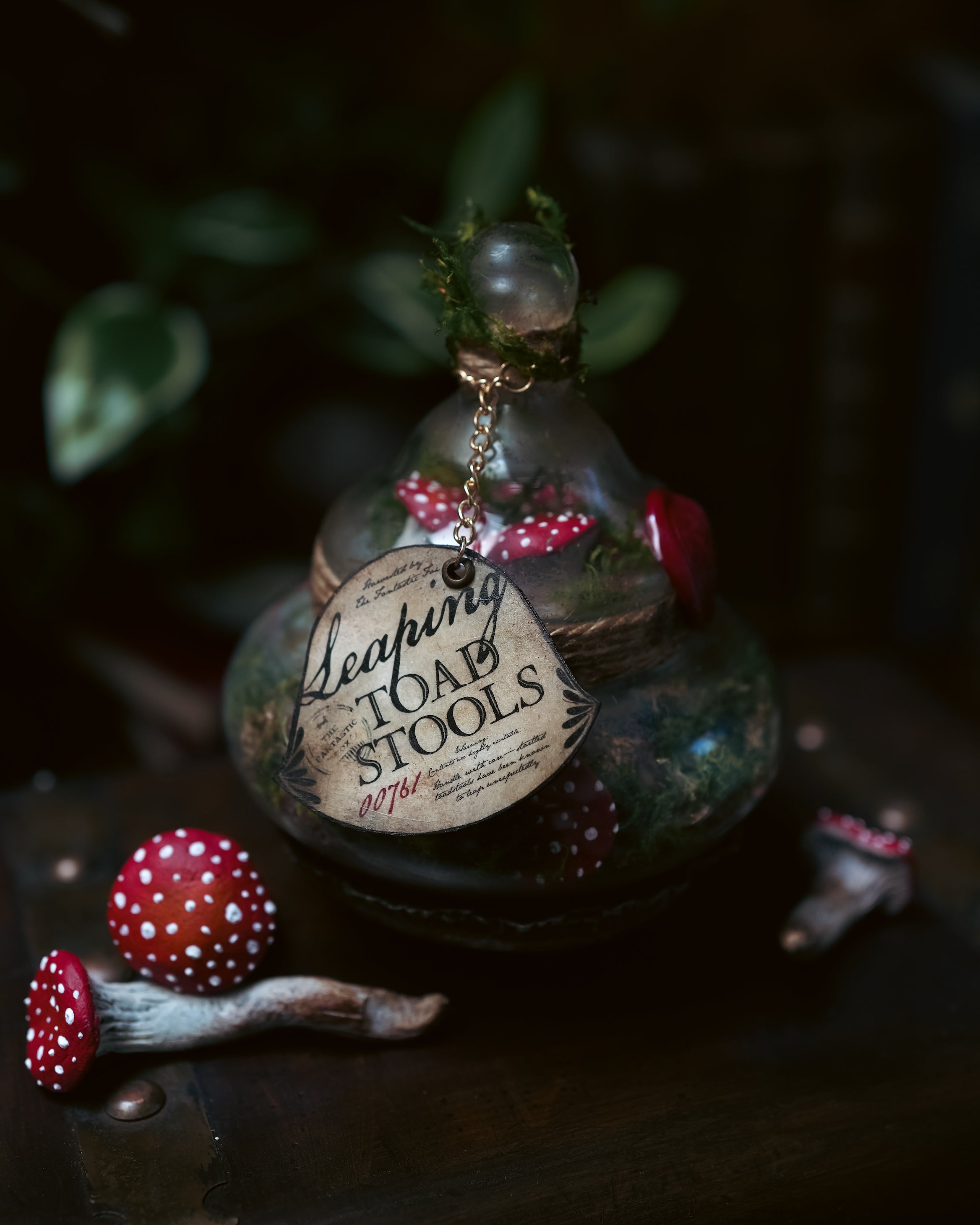 Bottle #022: Leaping Toadstools