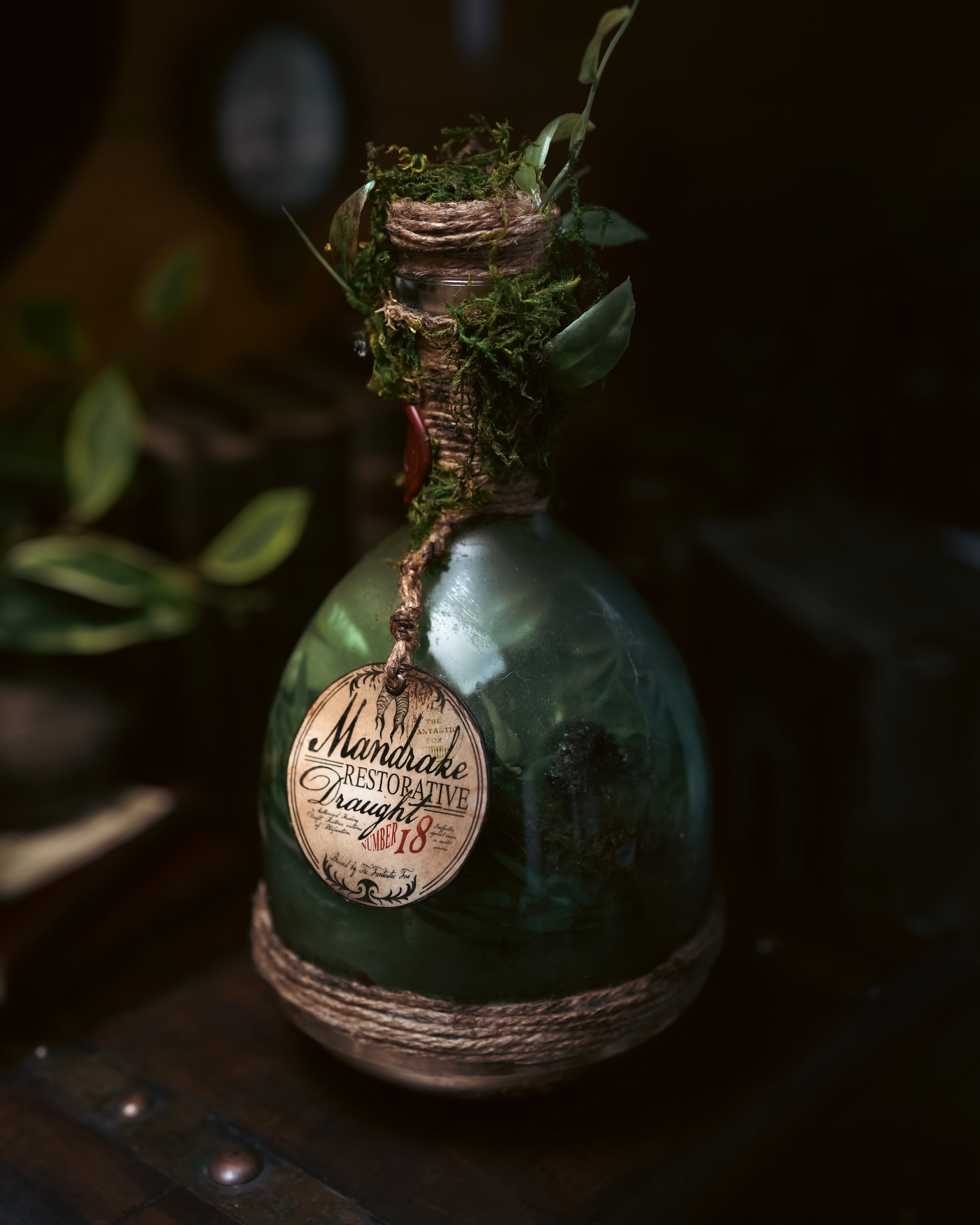 Bottle #009: Mandrake Restorative Draught